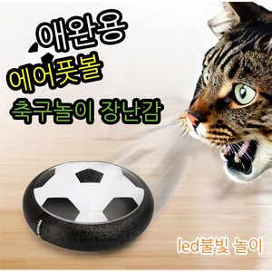 윈티크 애완용 에어풋볼 축구 놀이 장난감, 1개, 블랙