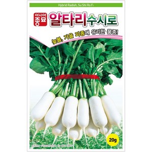 [모종심는아빠] 늦봄 가을 파중에 유리한 품종 알타리수시로 씨앗 20g, 1개