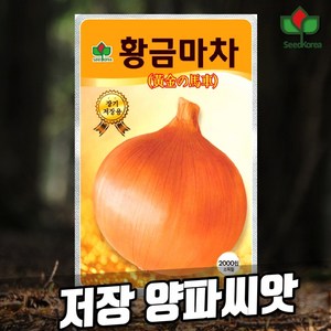 황금마차 양파씨앗 1000립 장기 저장용 양파종자, 1개