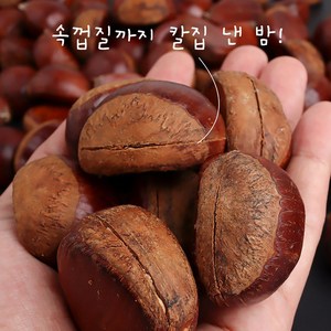 부여군 24년 햇밤 칼집밤 뜨래밤 군밤용(19회 부여군알밤대축제), 1개, 2kg 특, 2kg