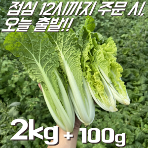 [꿀야채 얼갈이배추] 물 좋은 철원 산지직송 얼갈이배추, 1개, 2kg