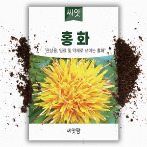 씨앗팜 홍화 씨앗 종자 3g 관상용 염료 및 약재 씨앗, 1개