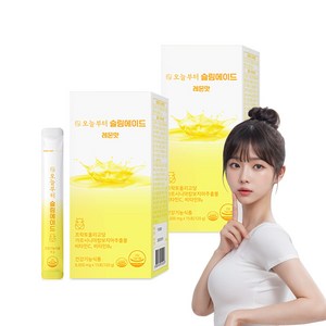 오늘부터 슬림에이드 레몬맛 레몬즙분말 다이어트음료 가르시니아 프락토올리고당 비타민C 수분충전 에너지충전, 2개, 120g