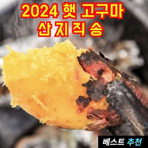 농부딸 해남 햇 꿀 고구마 산지직송 재구매율 1위 베니하루카 세척, 1박스, 5kg