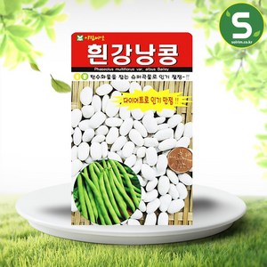 솔림텃밭몰 흰강낭콩씨앗 30g 강낭콩씨앗 콩씨앗 슈퍼곡물, 1개