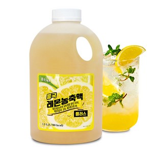 흥국에프앤비 레몬 농축액 플러스, 1.5L, 1개