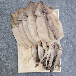 피데기 반건조오징어 구룡포 해풍건조 반건오징어, 1개, 850g 내외, 대(5미)