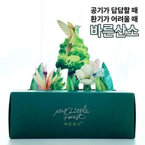 바른산소 60g 고체산소 산소발생기, 1개