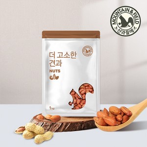 산과들에 24년산 햇 견과 수입 볶음 땅콩 800g, 1개