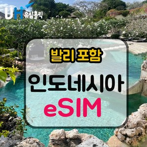 eSIM 인도네시아 이심 데이터 무제한 e심 XL 텔콤셀 핫스팟 발리이심, 30일, 매일 500MB, 데일리플랜, 1개