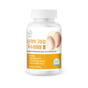 순수한줌 난각막 구아검 가수분해물 정 600mg, 60정, 2박스