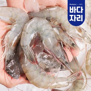 살아있을 때 급랭한 국내산 신안새우 1kg (26-35미 내외), 신안 급랭새우 1kg (26-35미), 1개