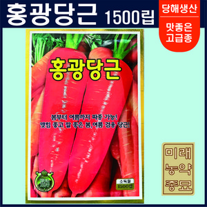 홍광당근 씨앗 1500립- 봄여름파종, 1개