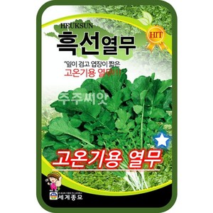 흑선열무 씨앗 30g 열무 씨 고온기 여름 채소 숫무 young radish seed, 1개