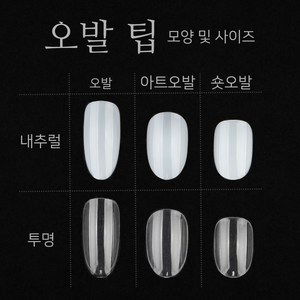 네일 리필 팁 (50입) / 오발 오벌 아트오발 숏오발 패디 인조 손톱, 아트오발 투명 4호, 1개