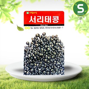 솔림텃밭몰 서리태콩씨앗 30g 서리태콩 검은콩 재래종 콩씨앗, 1개