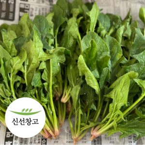 해풍 맞은 청정 남해 노지 시금치, 1박스, 2kg