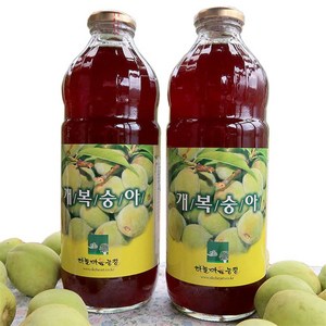 야생 토종 개복숭아 발효액 액기스 효소 원액 청 5년숙성 1000ml, 1L, 2개