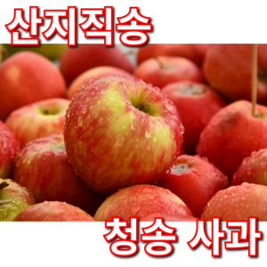 [산지직송] 진짜진짜 달다 고당도 청송 사과 부사, 1박스, 2kg 혼합
