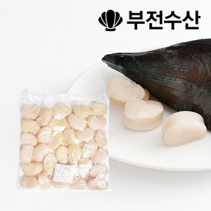 부전수산 냉동 신선한 키조개관자 (개아지살) 1kg 관자 관자구이 관자삼합 관자버터구이 관자찜, 1개, 1kg (21~25개)