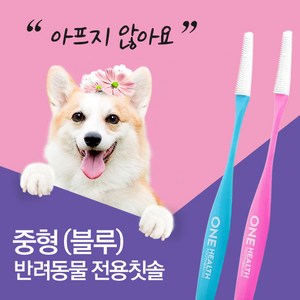 원헬스 강아지칫솔 애견 양치 강아지 이빨관리 치석제거 칫솔, 02. 원헬스 반려동물 칫솔(중형-블루), 1개