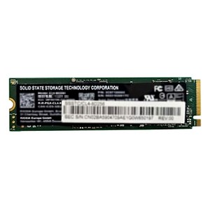 키오시아 키오시아 CL4-8D M.2 NVMe 벌크 (256GB), 블랙, 256GB