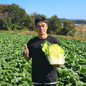 농사친구 해남 스테비아 절임배추 20kg 절인, 배추 수령일을 필수추가정보에 입력해주세요, 1개