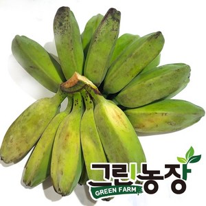 그린 사바 바나나(green saba banana) 그린농장, 10kg, 1개