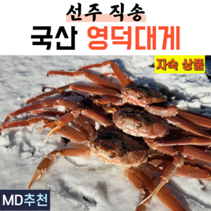 국산 프리미엄 영덕대게 자숙 대게 구룡포 게 대개 3마리 5마리 제철, 1박스, 소 9~9.4cm 3마리