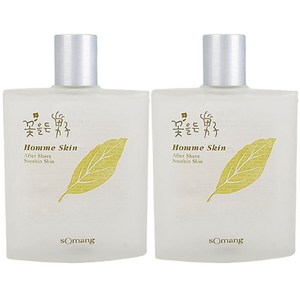 소망화장품 꽃을든남자 옴므 스킨 140ml x2개, 2개