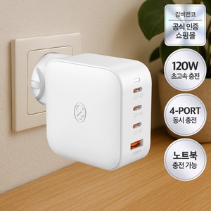 감비앤코 120W 4포트 USB-A C 타입 PPS 초고속 PD 충전기, 화이트, 1개
