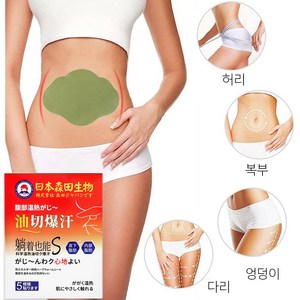 복부 다이어트 패치/ 슬림 복부 온열 패치/ 지방 연소와 바디라인 개선 평탄한 복부를 위한 비밀, 1개, 5개입