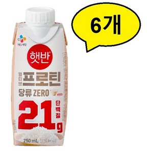 얼티브 프로틴 쌀밥맛, 250ml, 6개