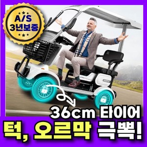 차온 [36CM 안전타이어] 노인 전동차 4륜 전동 스쿠터 사륜 바이크 어르신 카트 전기차, 1개, 800W모터 단품