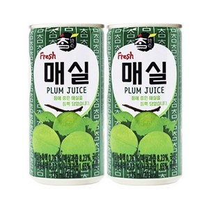 대일 참맑은 매실 캔, 60개, 175ml