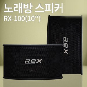 노래방 스피커 REX 3종(6/8/10인치) 매장 카페 업소 가정용 1조(2개) YCSM, 10인치 (RX-100)