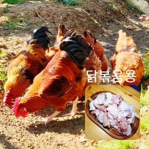 토종닭 닭볶음용 2kg내외 오후4시마감 당일발송, 1개