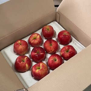 [산지직송] 신선한 경북 꿀사과 자연의 달콤함! 가정용 실속형, 1박스, 가정용)빨간사과3kg(19-22과)한입소과
