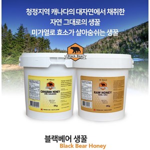 블랙베어 꿀 캐나다 프리미엄 허니 생꿀 3KG 직배송, 크림꿀 Ceamed, 1개