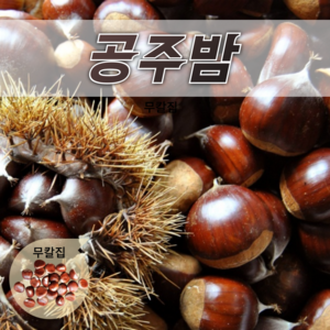 담다마켓 국내산 무칼집 공주밤 햇밤 (대), 1세트, 5kg