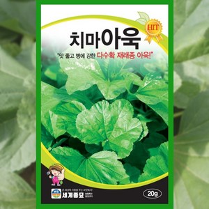 아욱씨앗 20g 치마 아욱 씨앗 종자 채소 야채, 1개