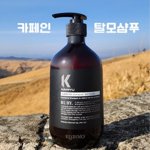 카미유샴푸 500ml 천연 두피 지성 약산성 머리 냄새, 1개