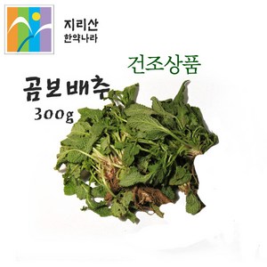 지리산한약나라 야생 곰보배추, 300g, 1개, 1개입, 1개