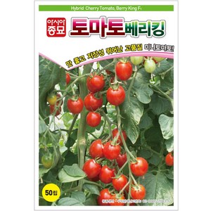 아시아종묘 씨앗 방울토마토 베리킹 50립, 1개