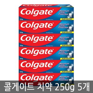 콜게이트 치약 250g 5개 코스트코 입냄새 그레이트 레귤러 고불소 1450ppm