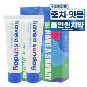 해브어선데이 F1450 고불소 충치 예방 치석제거 치약 청귤 라임, 100g, 2개