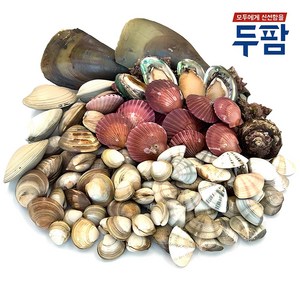 두팜 모듬조개 가족세트 4kg내외 3~4인분 내외, 가족세트 4kg, 1세트