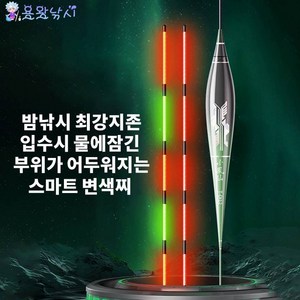 용왕낚시 소봉선 스마트 전자찌 입수부위 어두워지는 주야겸용 스마트찌 밤낚시 시인성 대폭 상향 입질변색찌, T-DI08(2.3g), 1개