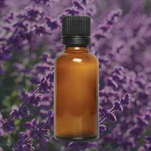 에센셜오일 라벤더 Lavender E.O, [ 30ml ]