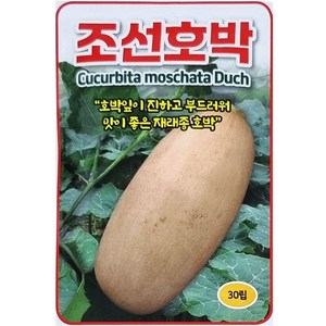 동원 조선호박씨앗 30립 호박잎 부드럽고 맛좋은 종자, 1개